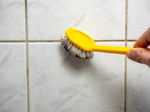 Reliable Jacinto City, TX Mold Removal Solutions