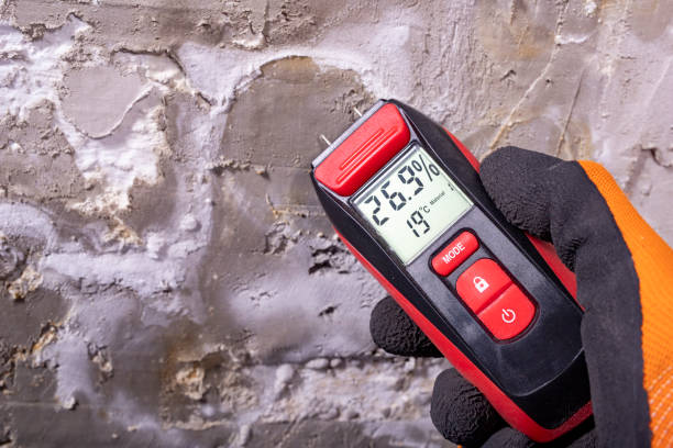 Best Emergency Mold Removal  in Jacinto City, TX