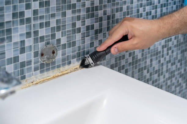 Best Mold Damage Repair  in Jacinto City, TX