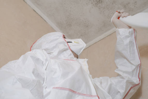 Best Mold Testing  in Jacinto City, TX