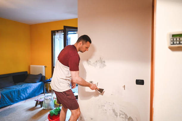 Best Mold Damage Repair  in Jacinto City, TX